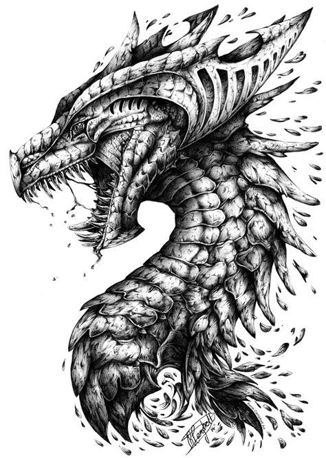 dragon artwork black and white|detailed dragon black and white.